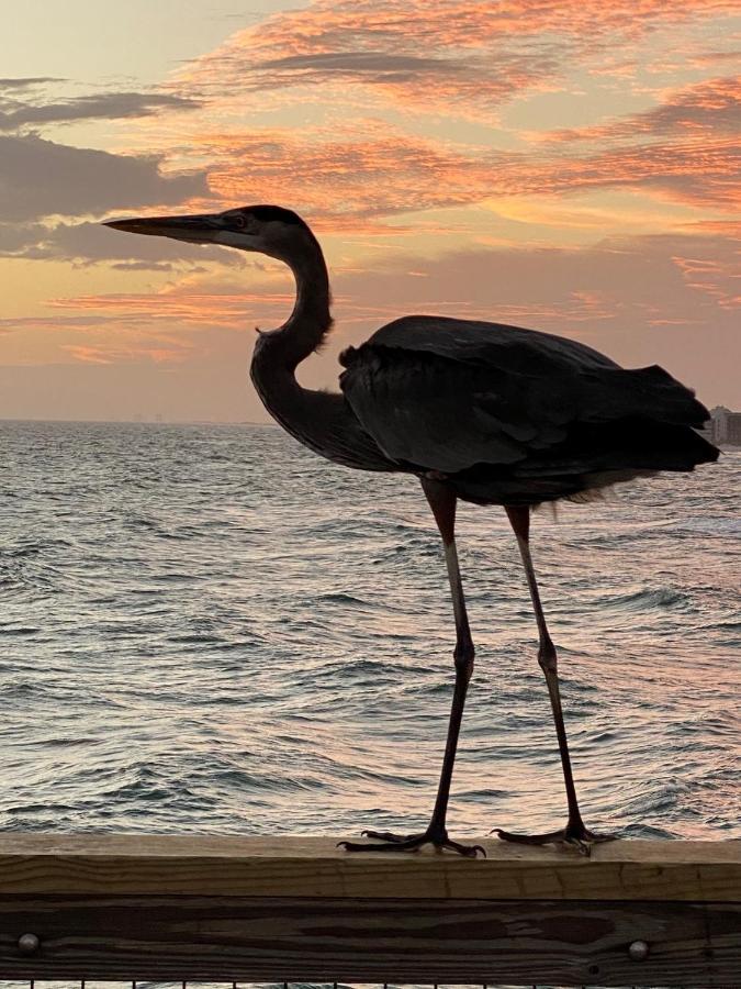 Beautiful! Sunset Harbor Condo For 2-Top Floor 1-309, Navarre Beach Exteriör bild