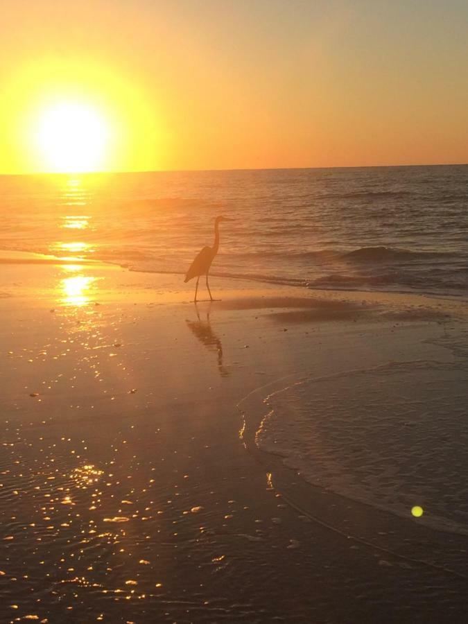 Beautiful! Sunset Harbor Condo For 2-Top Floor 1-309, Navarre Beach Exteriör bild